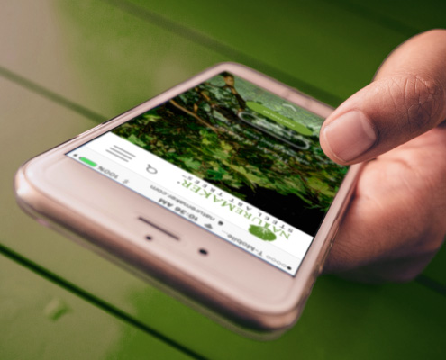 hand holding mobile phone with website pulled up