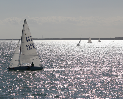 sailboats on the water