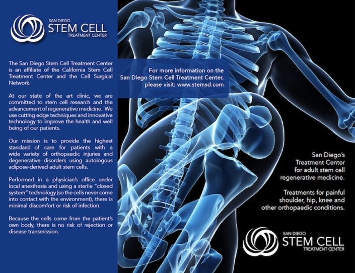 stem cell brochure cover